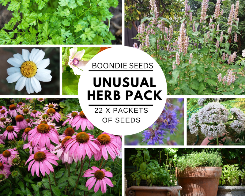 Unusual Herb Pack 22 X Packets Of Herb Medicinal And Culinary Collecti 