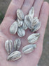 SUNFLOWER 'Israeli Giant' seeds