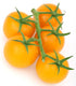 TOMATO 'Yellow Perfection' seeds