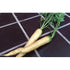 CARROT 'Lunar White' seeds