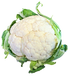 CAULIFLOWER 'Selection 174' seeds