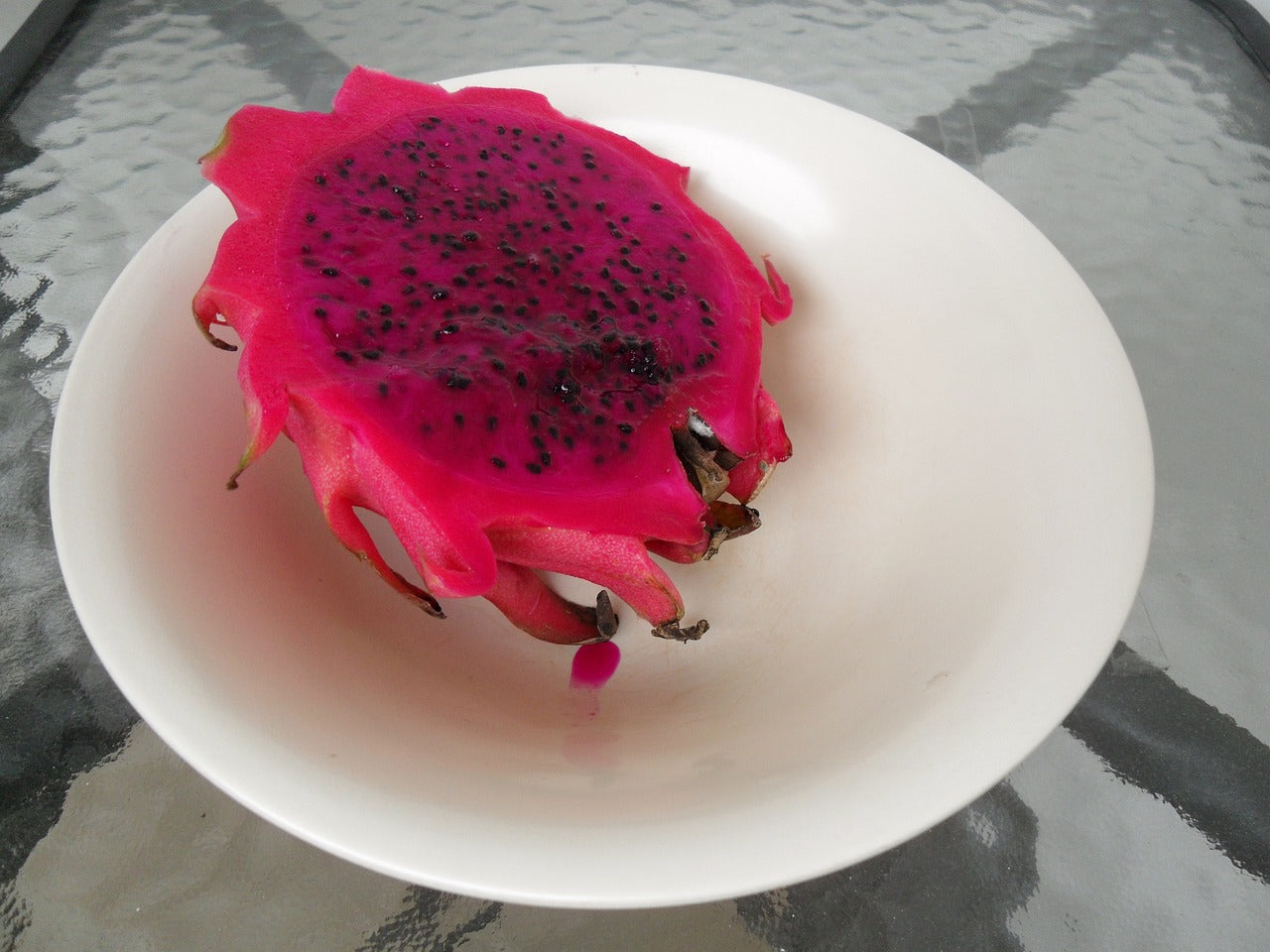 DRAGON FRUIT / PITAYA - Red Fleshed seeds