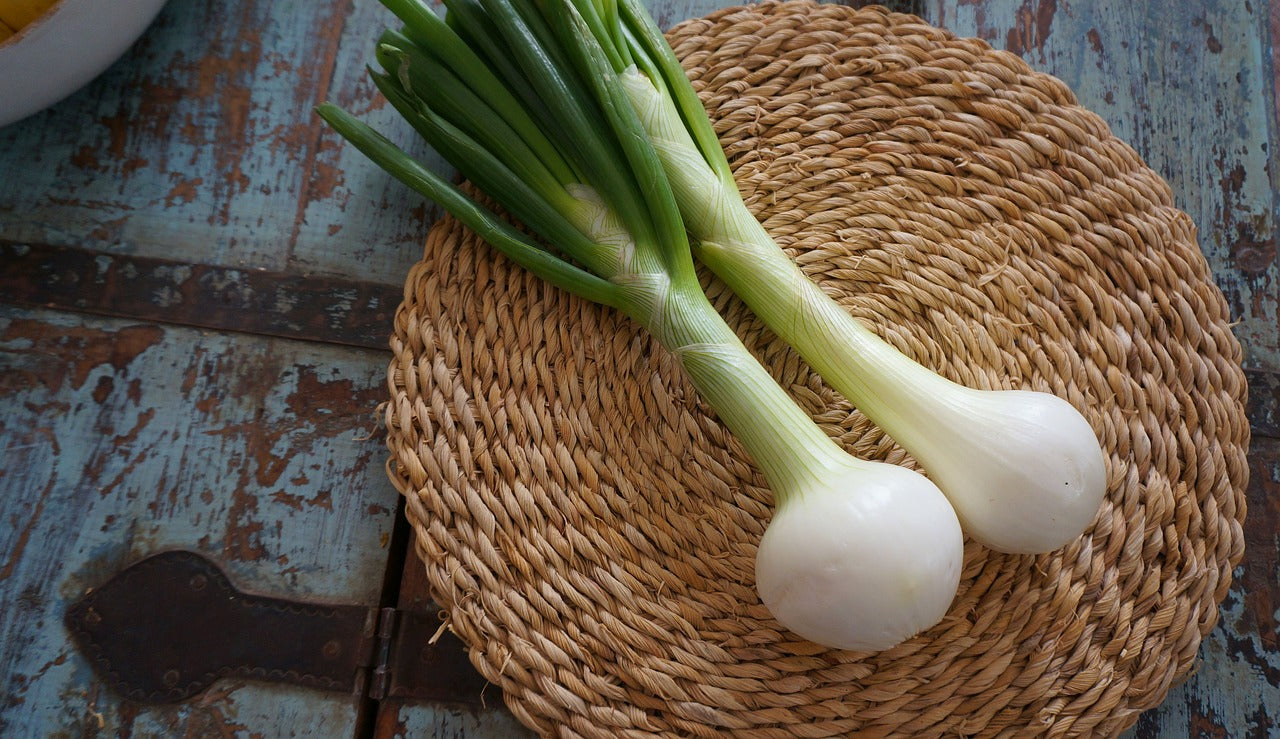 ONION 'Barletta Pickling' seeds