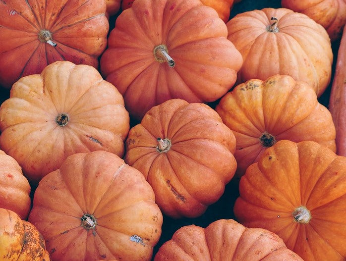 PUMPKIN 'Moranga' seeds