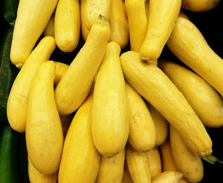 SQUASH 'Yellow Straightneck' seeds