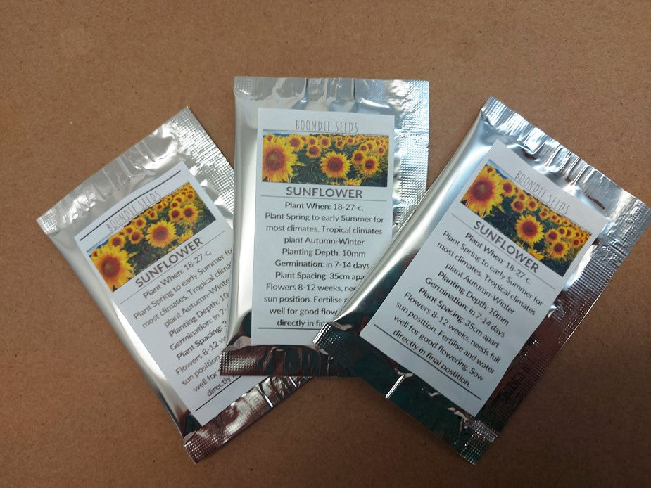 SUNFLOWER Wholesale Gift Pack seeds