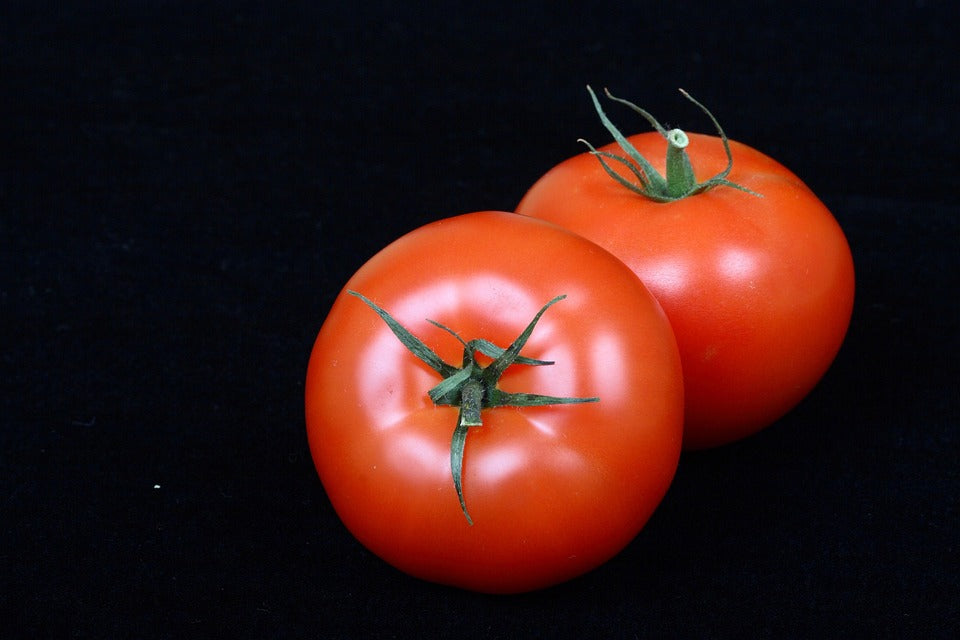 TOMATO 'Tristar' seeds