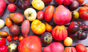   heirloom tomatoes 