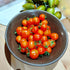 TOMATO CHERRY 'Florida Basket' seeds