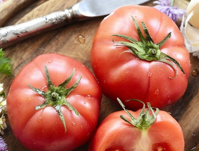 TOMATO 'German Johnson' seeds