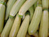 ZUCCHINI LEBANESE / Kousa / Cousa seeds