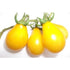 TOMATO 'Yellow Pear' - Boondie Seeds