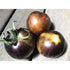 TOMATO 'Cosmic Eclipse' seeds