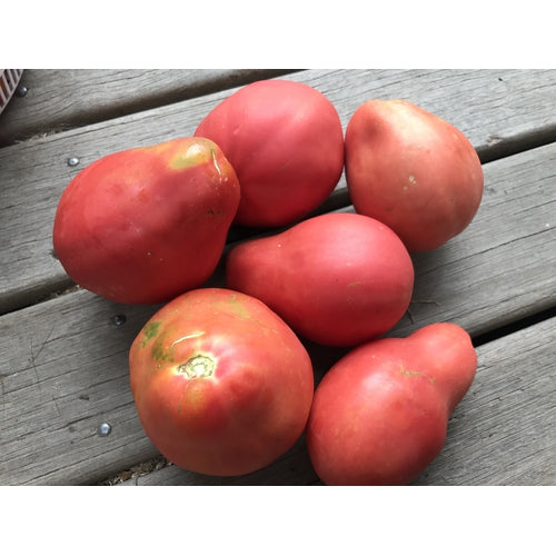 TOMATO 'Nonno's Italian Pear' - Boondie Seeds