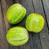 CUCUMBER 'Richmond Green Apple' seeds