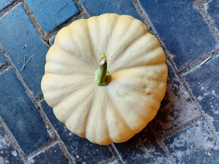 PUMPKIN 'Long Island Cheese' seeds