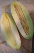 ROCKMELON 'Indian Cream Cobra' seeds