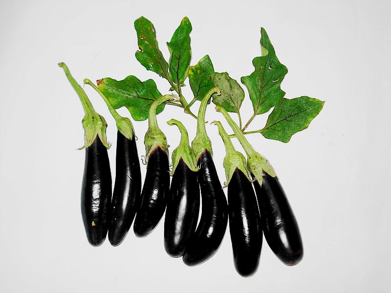 Eggplant 'Little Fingers' seeds