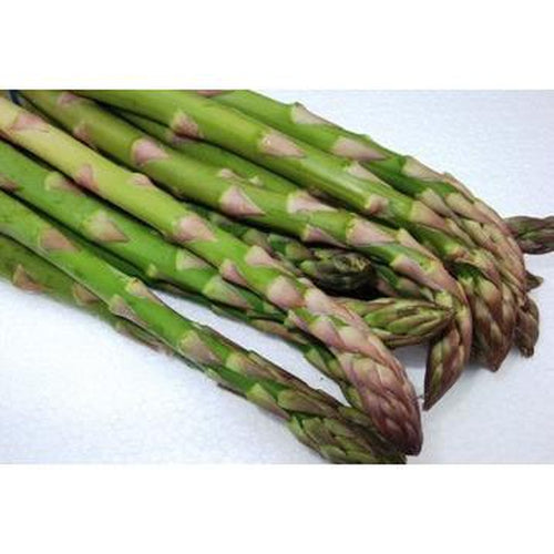 ASPARAGUS 'Mary Washington' - Boondie Seeds