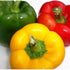 CAPSICUM 'Sweet Delight' Mixed / Bell Pepper mix - Boondie Seeds