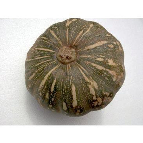 PUMPKIN 'JAP' or 'Kent' - Boondie Seeds