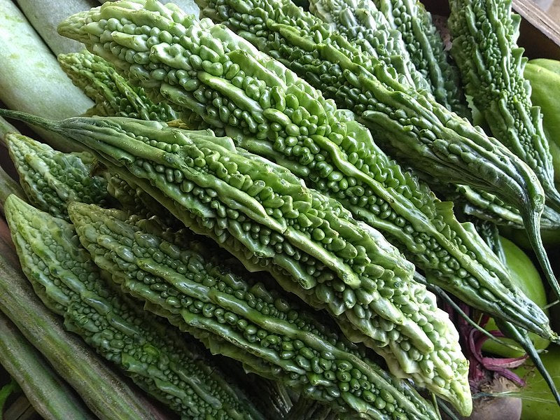 BITTER MELON / BITTER GOURD / BALSAM PEAR /  KARELA - 'Long' seeds