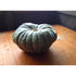 PUMPKIN 'Queensland Blue' QLD Blue - Boondie Seeds