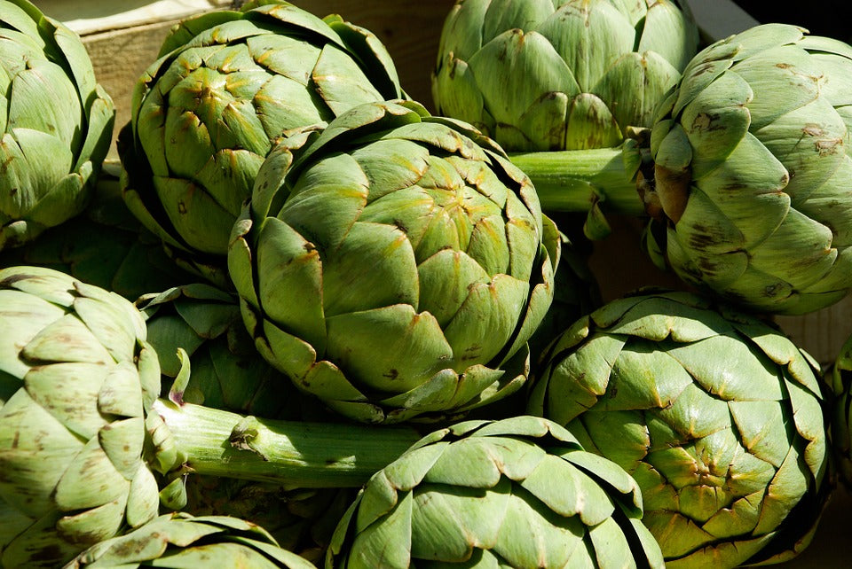 ARTICHOKE 'Green Globe' seeds