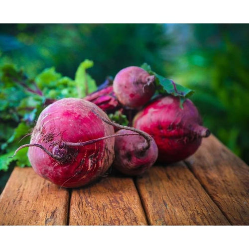 BEETROOT 'Bulls Blood' - Boondie Seeds