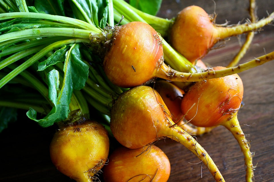 BEETROOT 'Golden' seeds