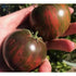 TOMATO 'Berkeley Tie Die Pink' - Boondie Seeds