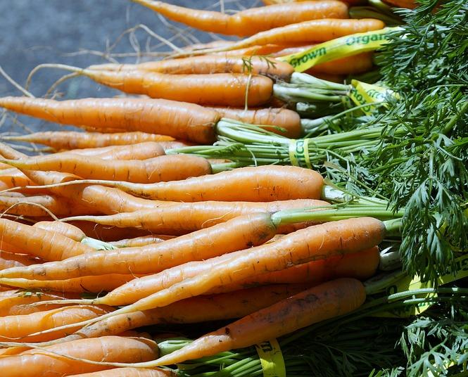 BABY CARROT 'Baby Pak' / 'Baby Amsterdam' seeds