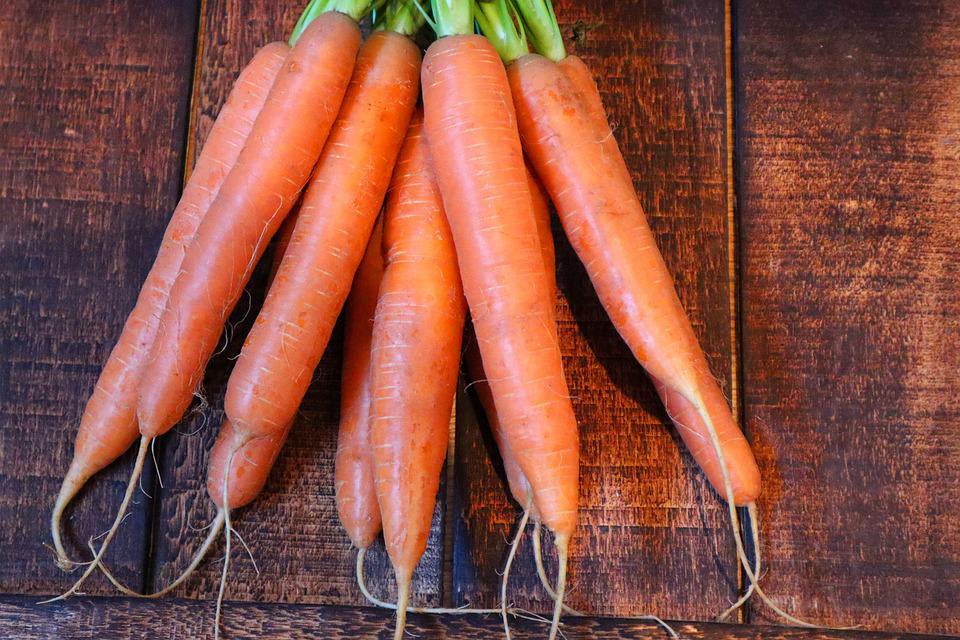 CARROT 'Nantes Darcy' seeds