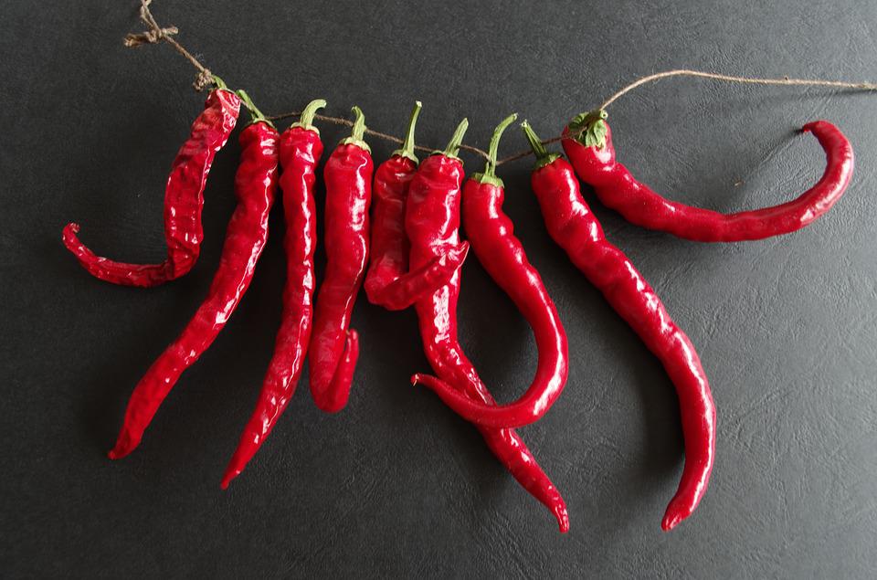 CHILLI 'Cayenne Red' seeds