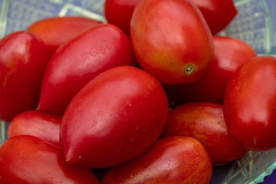 TOMATO 'Napoli Paste' seeds