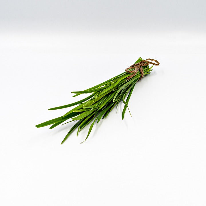 GARLIC CHIVES / JAPANESE NIRA seeds