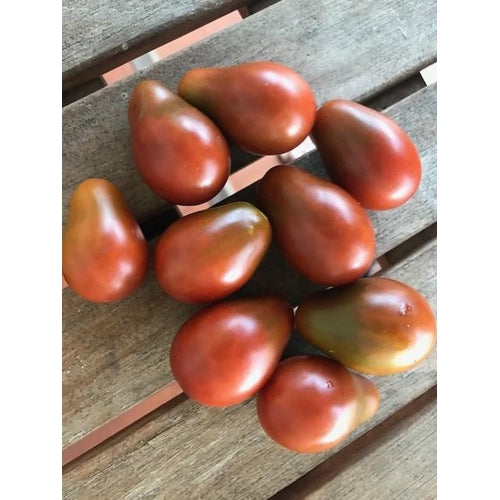 TOMATO 'Mini Chocolate Pear' - Boondie Seeds