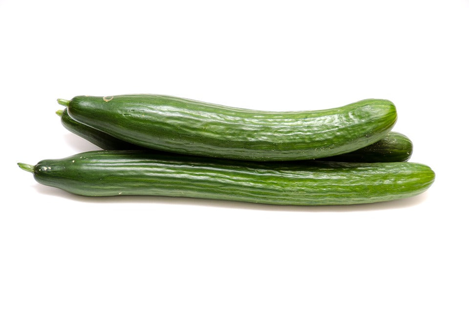 CUCUMBER 'Tasty Green F1' / CONTINENTAL seeds