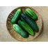 CUCUMBER 'Marketmore 76' seeds