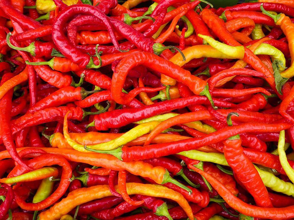 CHILLI 'Cayenne Mix' seeds