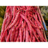 BEAN DWARF Borlotti 'Red Rooster' seeds