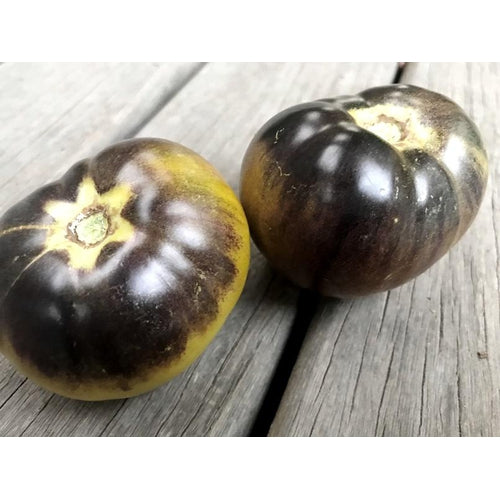 TOMATO 'Green and Black' - Boondie Seeds