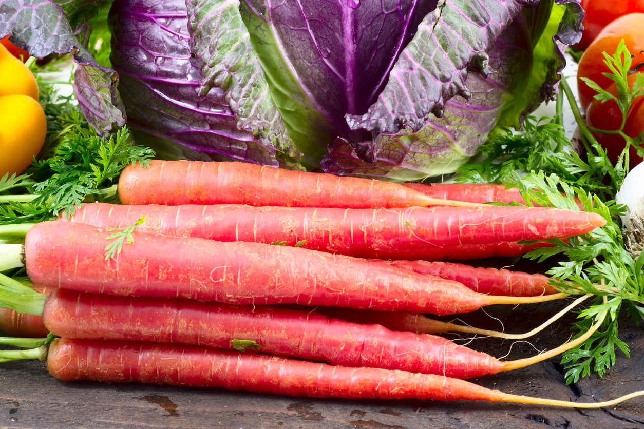 CARROT 'Atomic Red' seeds