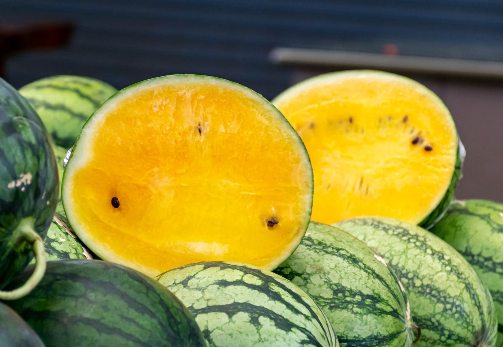 WATERMELON 'Golden Honey' seeds