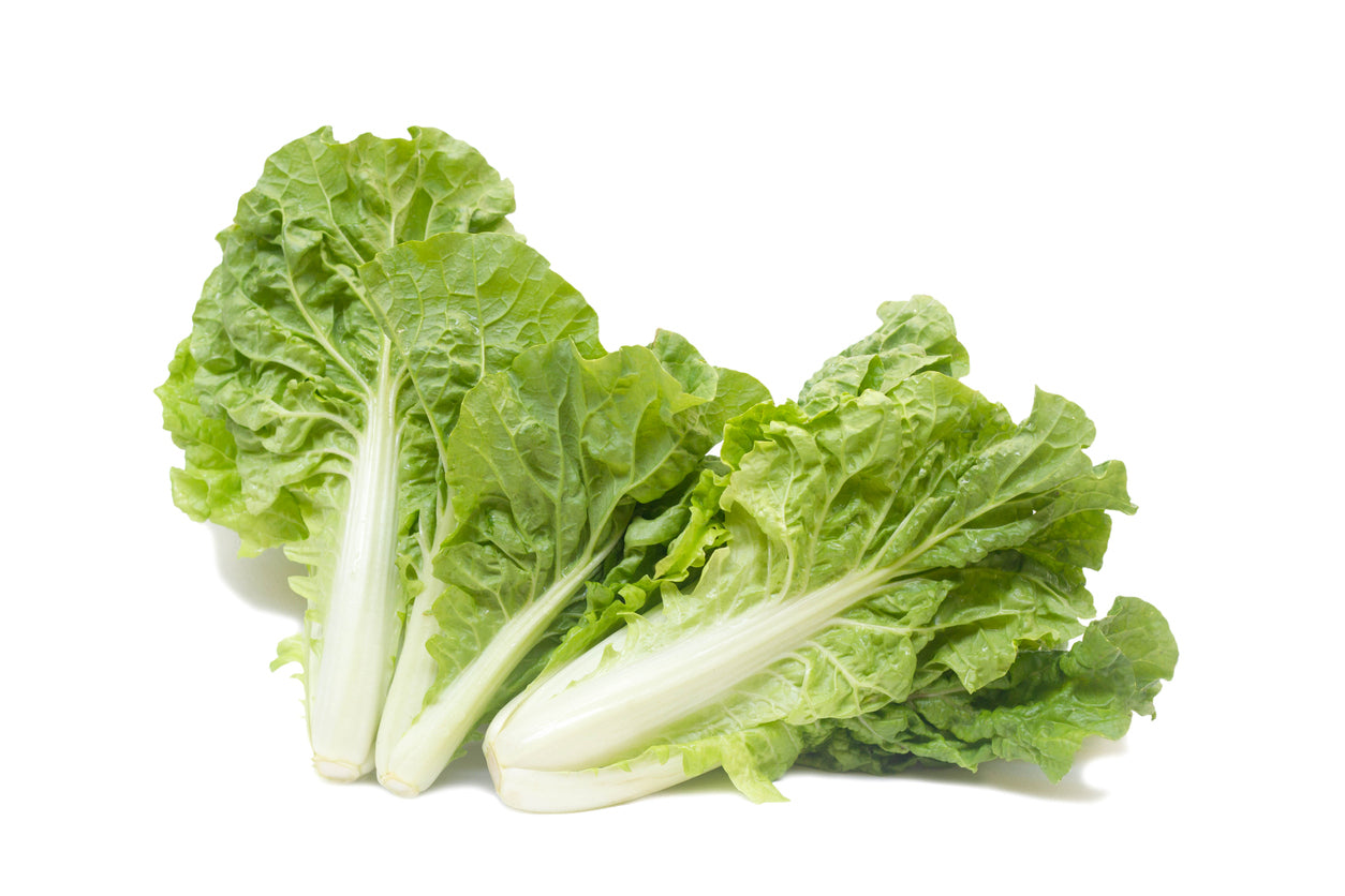 CHINESE CABBAGE BABY Tokyo Bekana seeds