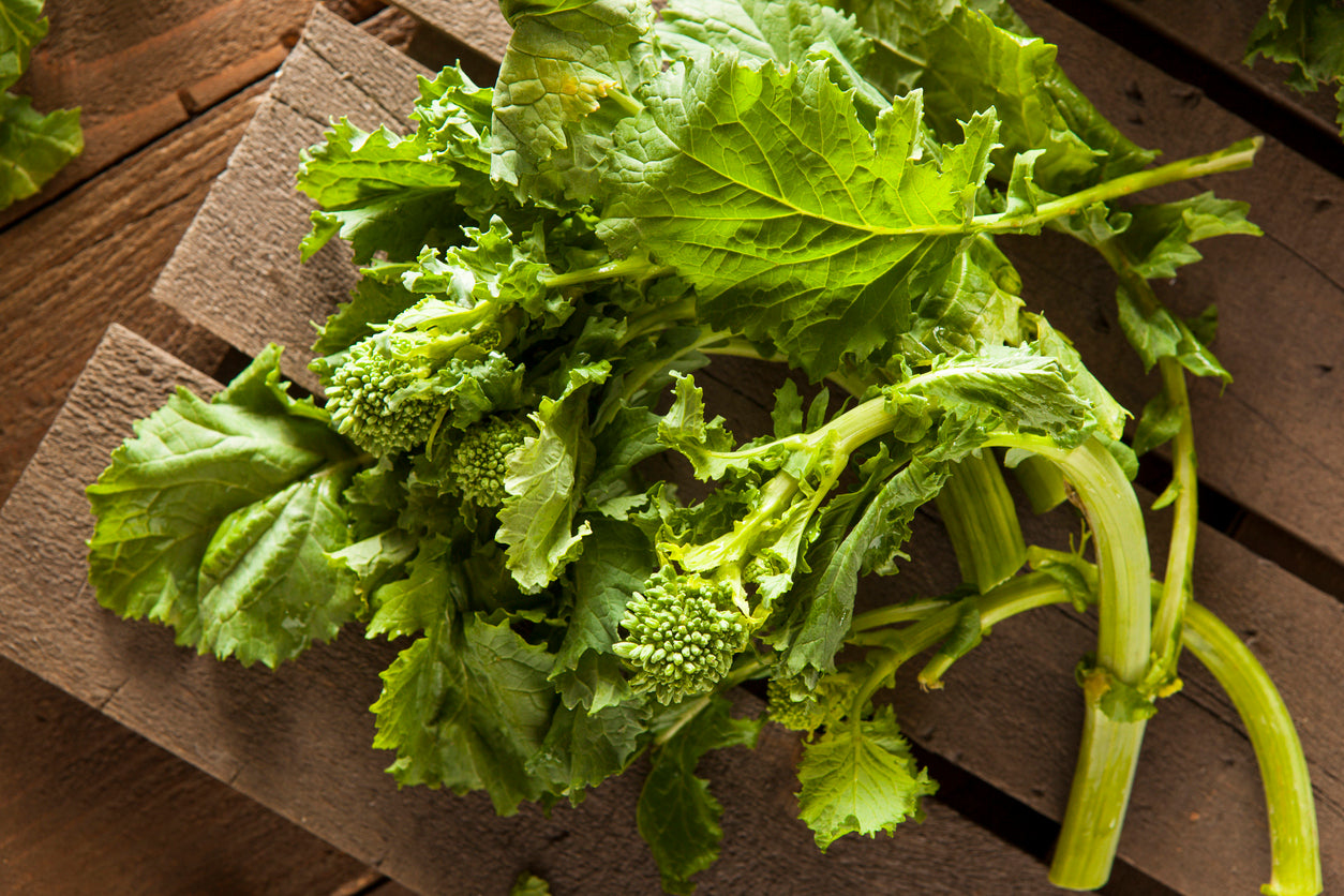 Brocoletti / Mini Broccoli / Rapini seeds