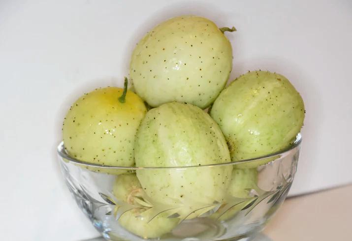 CUCUMBER 'Crystal Apple' seeds