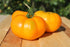 TOMATO 'Jubilee Yellow' seeds