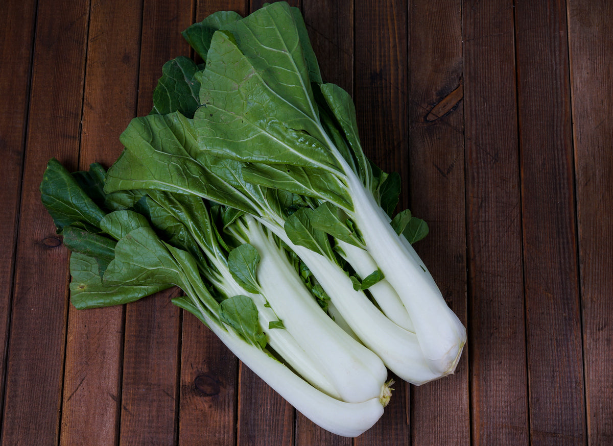 PAK CHOI White Stem / Buk Choy seeds