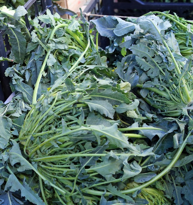 Broccoli 'Italian Spigariello' seeds